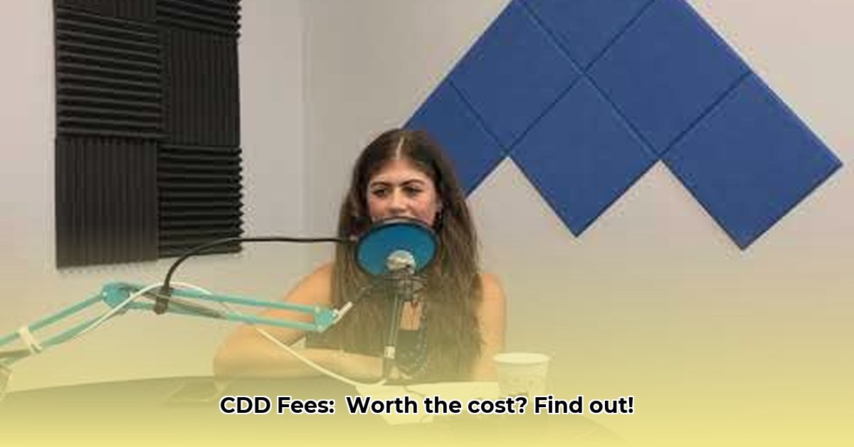 pros-and-cons-of-cdd-fees